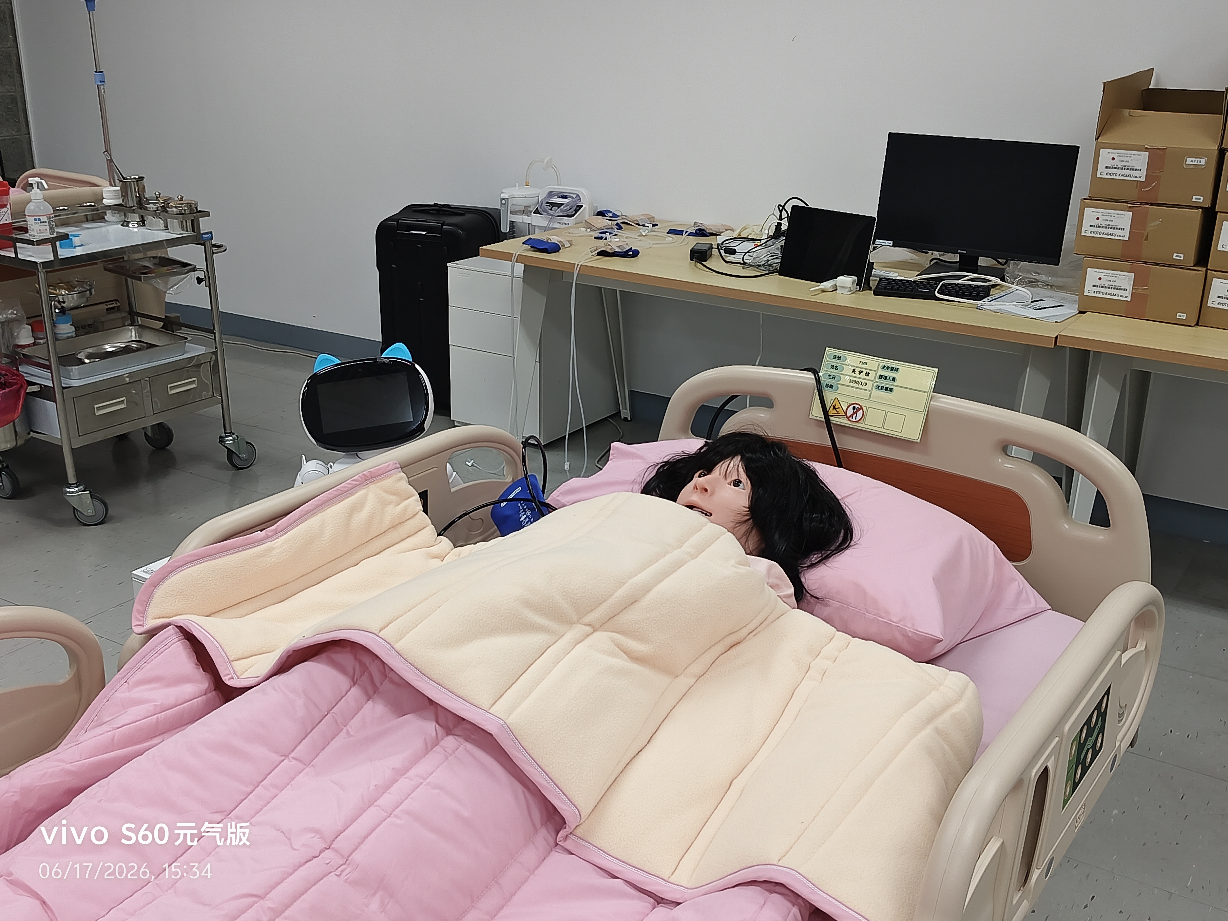Laerdal 團體安妮組